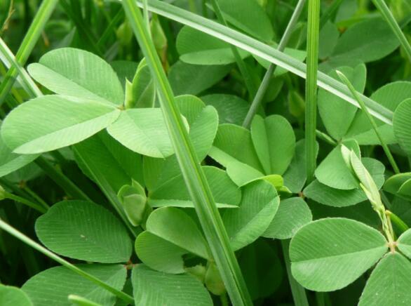 湿热的食物有哪些？吃什么好