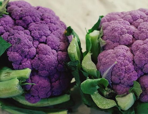 紫色蔬菜有哪些？紫色蔬菜的功效与作用