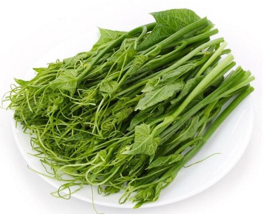 丝瓜尖能和海带一起吃吗_丝瓜尖和海带能一起吃吗/同吃