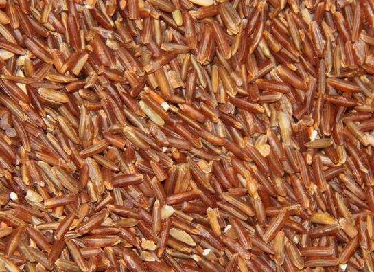 美容补血药膳 熊猫豆煲红米粥