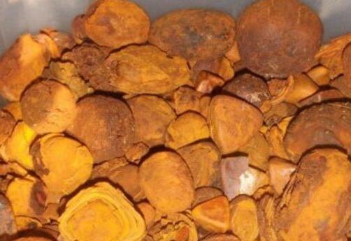 活血散结吃什么食物好？如何饮食