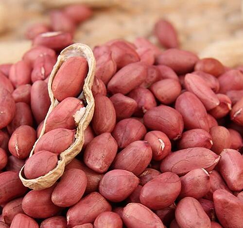 美容润肤：红豆花生鸡脚汤