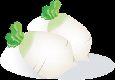 面部过敏的原因 可以食用白萝卜吗