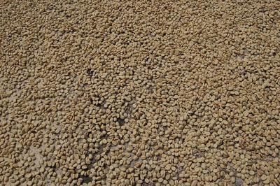 一种治疗鼻咽炎的中药组合物 鼻咽炎有哪些食疗措施