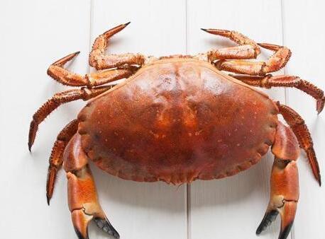 大闸蟹怎么吃清洗大闸蟹的方法