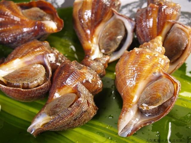 海螺哪些部位不能吃? 要挑没有异味的海螺