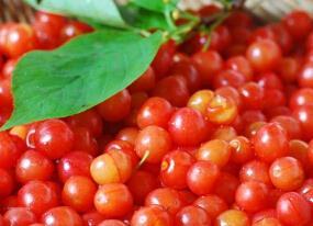 春季吃樱桃禁忌 三类人不能吃 春季吃樱桃禁忌 三类人不能吃