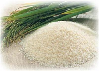 带你了解几种常见的大米到底哪种适合你