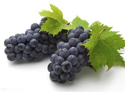 孕妈咪的烦恼 哺乳期能吃葡萄吗