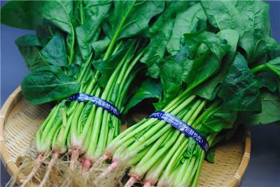 贫血患者要多吃哪些食物 贫血患者要多吃哪些食物