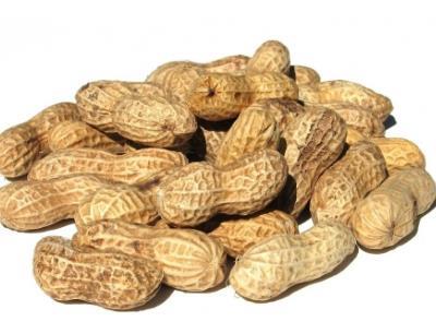 适合学生学习时食用的十种补脑食品 适合学生学习时食用的十种补脑食品