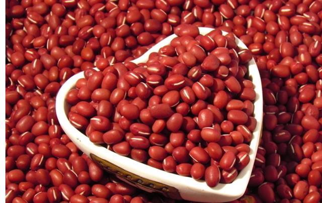 多吃红豆有4大益处 消肿瘦小腹