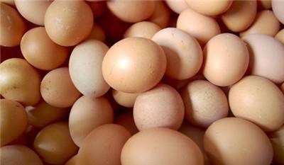 帮你解决关于鸡蛋的一些疑惑