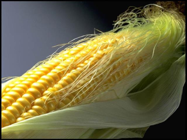 菜蔬的边角料 那些被忽略的健康佳品