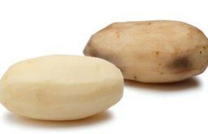 不会变黑的转基因土豆存在吗