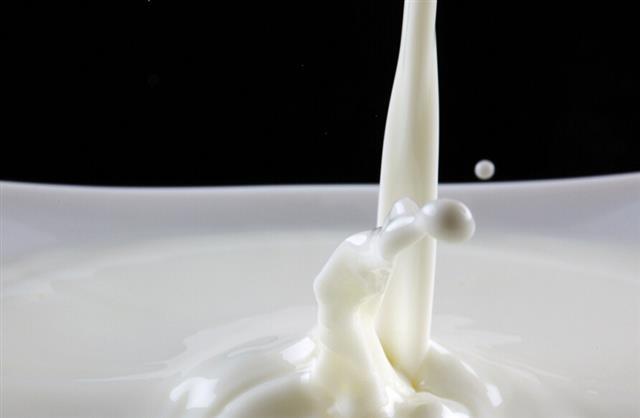 牛奶加工方法不同保健功效也不同