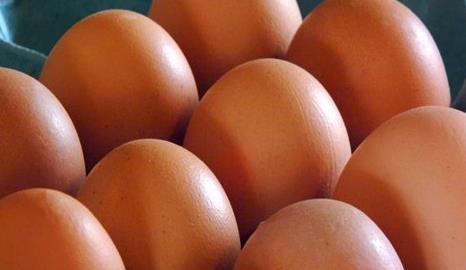 鸡蛋里有血丝能吃吗 吃鸡蛋11个关键点