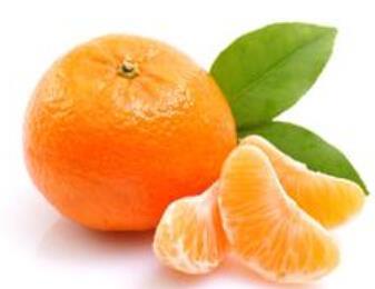 柑橘橘络能养生 扔掉太可惜