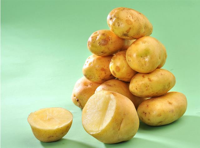 土豆也能造假 如何辨识翻新土豆