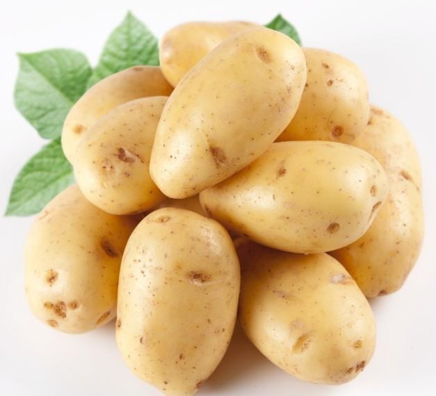 土豆长了芽能吃吗 吃土豆注意3个方面