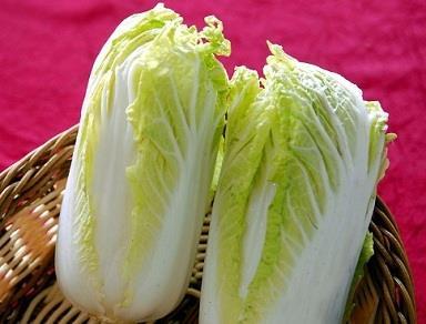 大白菜的功效及食用注意
