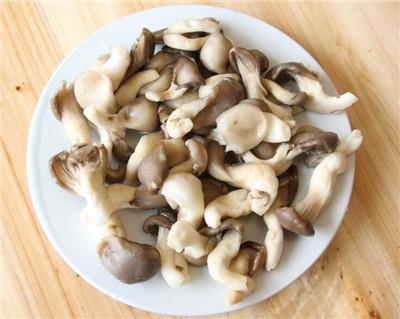 常见的菜类含有哪些营养？