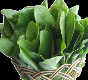 吃排毒蔬菜 让你年轻10岁