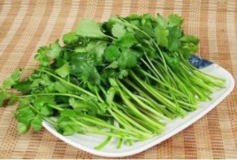 香菜的功效做法及禁忌