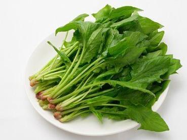 菠菜挑选技巧：看叶不看根