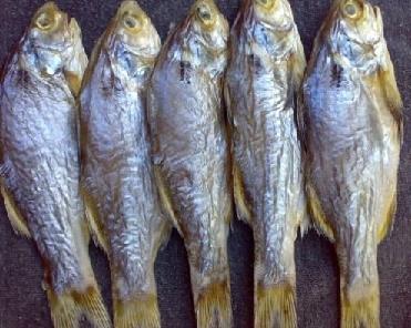 食用被污杂的鱼 易发生汞中毒