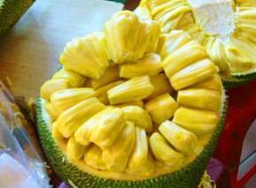 食材营养：菠萝蜜有效阻止血栓形成