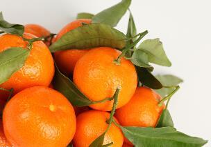 如何选择好橘子 橘子的保存方法