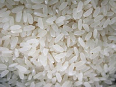 粳米到底是不是大米呢？