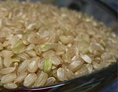 糙米膳食纤维 抑制糖尿病罕见功效