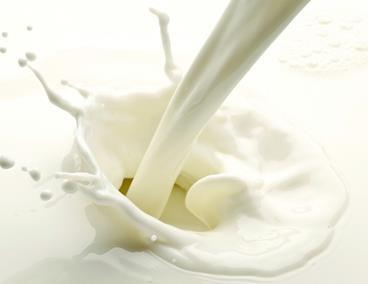 牛奶和羊奶营养成分大比拼