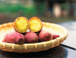 长寿食品 美味红薯的营养功效