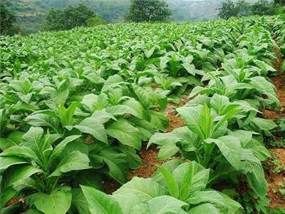 哪些情况可能会让你的心受伤害 哪些情况可能会让你的心受伤害