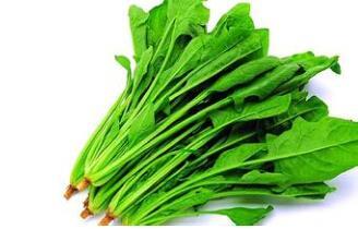 血糖高吃什么 菠菜扁豆常吃