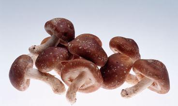 蘑菇防癌 5种黑色食物预防常见病
