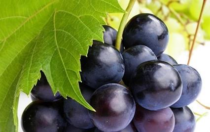 8大紫色食物防癌抗衰老