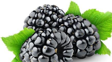 8大紫色食物防癌抗衰老