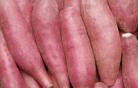 夏季排毒功能最强的20种食物