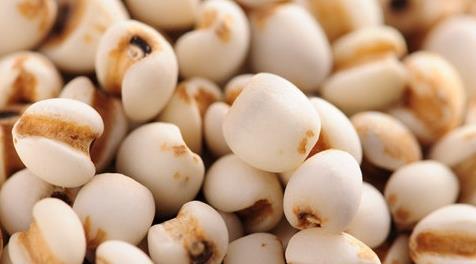 夏季排毒功能最强的20种食物