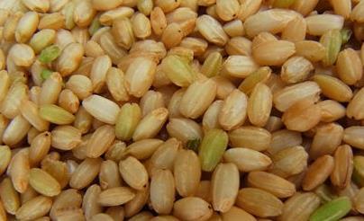 夏季排毒功能最强的20种食物