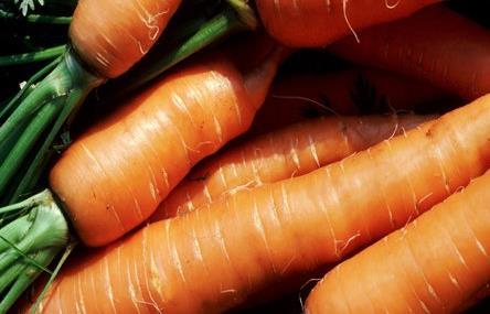 夏季排毒功能最强的20种食物