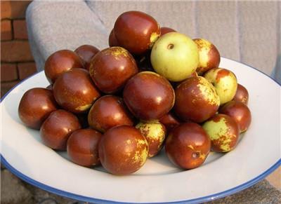 如何吃苹果和红枣能够达到减肥效果 如何吃苹果和红枣能够达到减肥效果