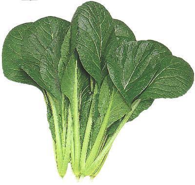 春天吃什么可以减肥呢 春天吃什么可以减肥呢