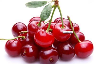 快活族应当如何来进行减肥