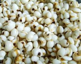 辨证减肥：六种身体喝什么茶减肥