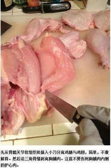医学生炖鸡如上解剖课 黑暗料理挑战你承受力